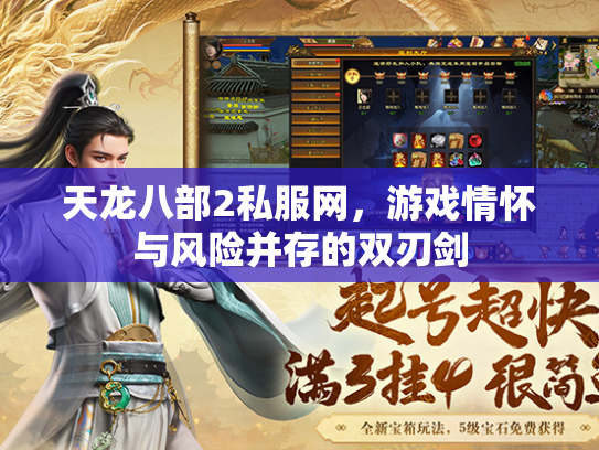 天龙八部2私服网，游戏情怀与风险并存的双刃剑