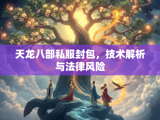 天龙八部私服封包，技术解析与法律风险  第4张