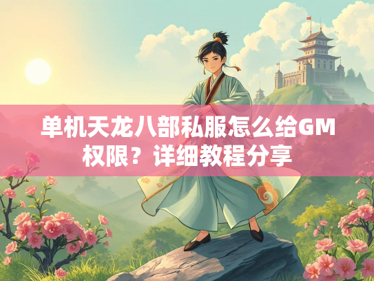 单机天龙八部私服怎么给GM权限？详细教程分享