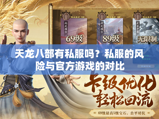 天龙八部有私服吗？私服的风险与官方游戏的对比  第4张