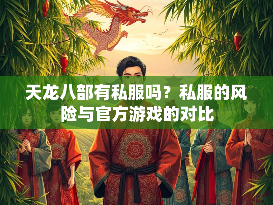 天龙八部有私服吗？私服的风险与官方游戏的对比  第1张