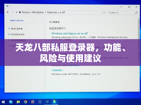 天龙八部私服登录器，功能、风险与使用建议  第1张