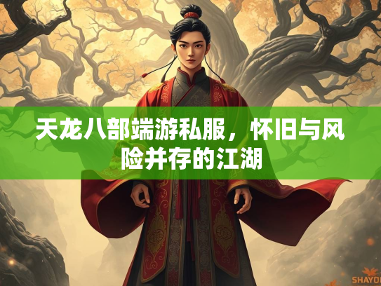 天龙八部端游私服，怀旧与风险并存的江湖  第4张