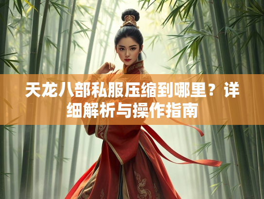 天龙八部私服压缩到哪里？详细解析与操作指南