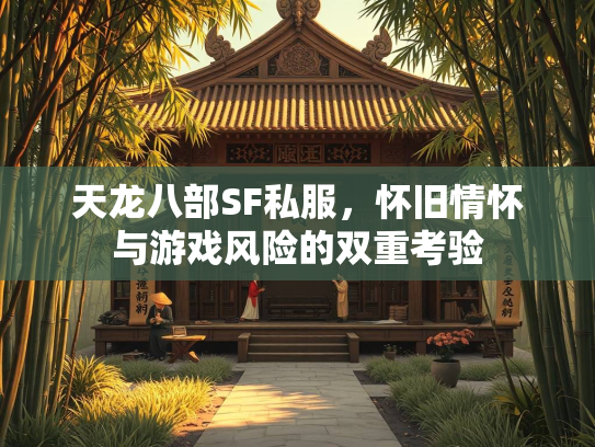 天龙八部SF私服，怀旧情怀与游戏风险的双重考验  第5张