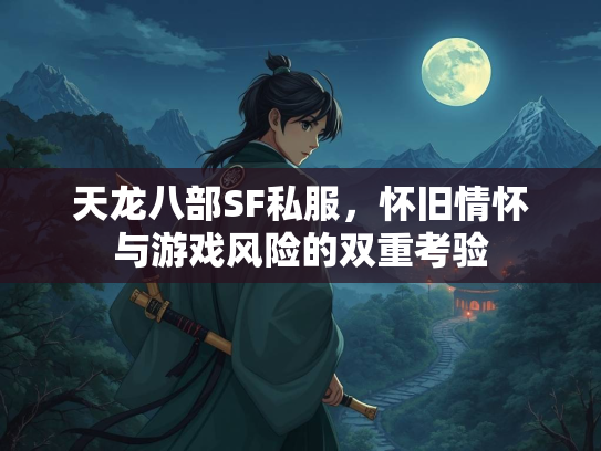 天龙八部SF私服，怀旧情怀与游戏风险的双重考验  第1张
