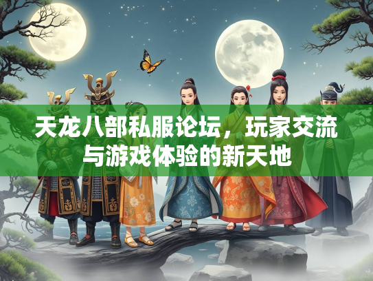 天龙八部私服论坛，玩家交流与游戏体验的新天地  第1张