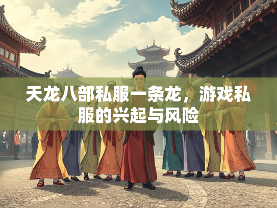 天龙八部私服一条龙，游戏私服的兴起与风险  第4张
