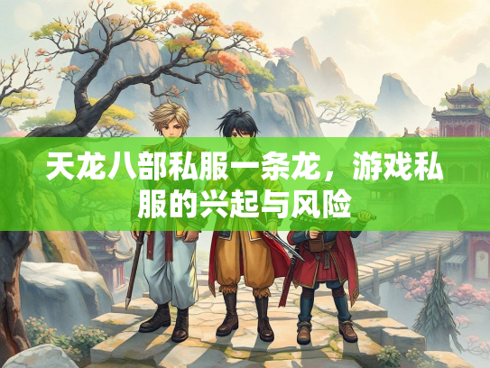 天龙八部私服一条龙，游戏私服的兴起与风险  第5张