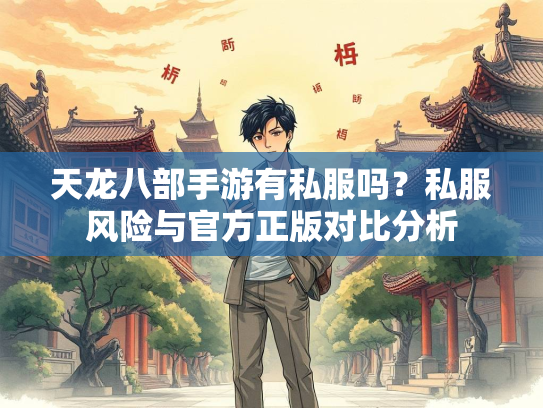 天龙八部手游有私服吗？私服风险与官方正版对比分析