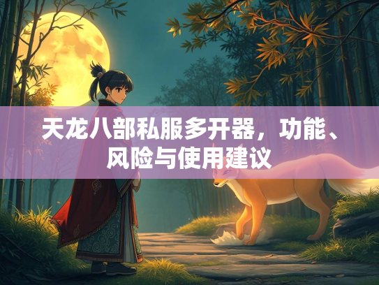 天龙八部私服多开器，功能、风险与使用建议  第4张