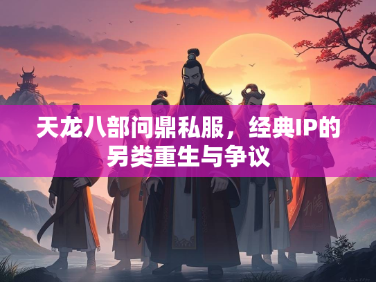天龙八部问鼎私服，经典IP的另类重生与争议  第2张