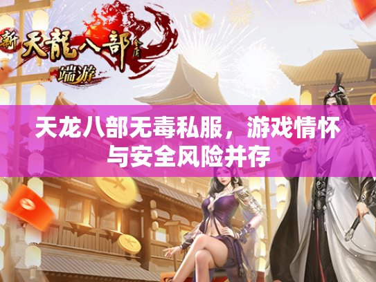天龙八部无毒私服，游戏情怀与安全风险并存  第4张