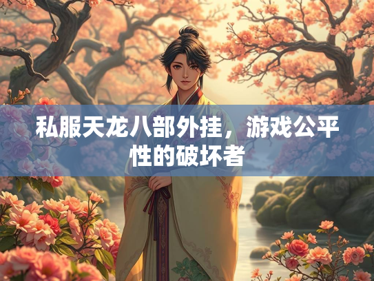 私服天龙八部外挂，游戏公平性的破坏者  第3张