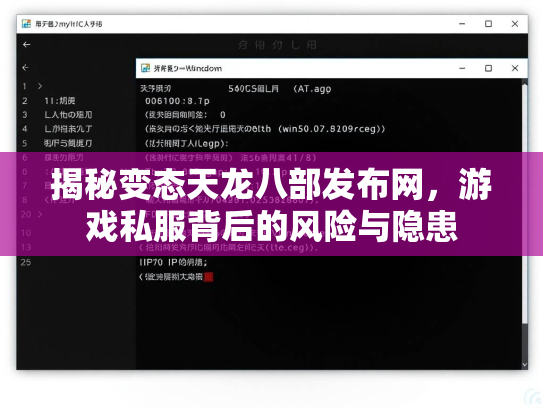 揭秘变态天龙八部发布网，游戏私服背后的风险与隐患  第3张