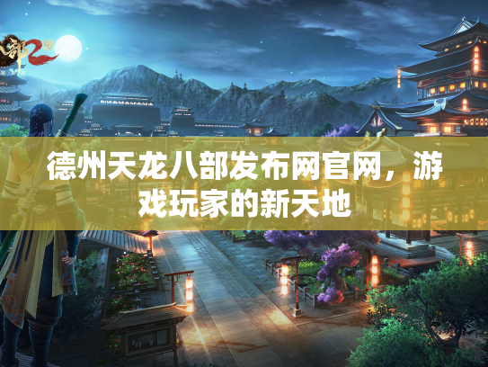 德州天龙八部发布网官网，游戏玩家的新天地  第1张