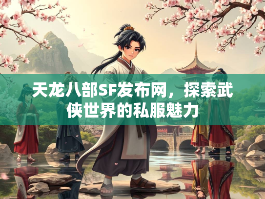 天龙八部SF发布网，探索武侠世界的私服魅力  第2张