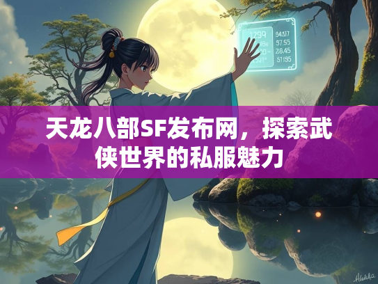 天龙八部SF发布网，探索武侠世界的私服魅力  第3张