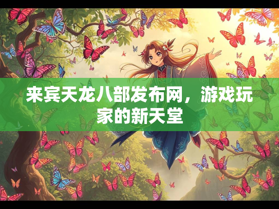 来宾天龙八部发布网，游戏玩家的新天堂  第4张