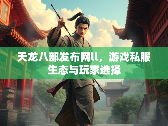 天龙八部发布网ll，游戏私服生态与玩家选择