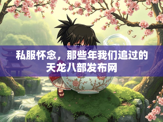 私服怀念，那些年我们追过的天龙八部发布网  第1张