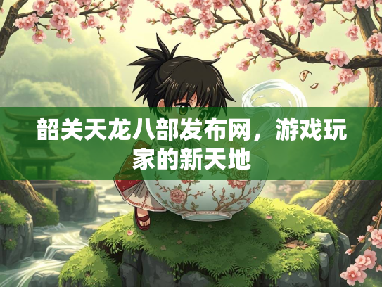 韶关天龙八部发布网，游戏玩家的新天地  第2张