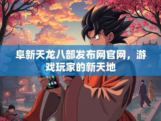 阜新天龙八部发布网官网，游戏玩家的新天地  第3张