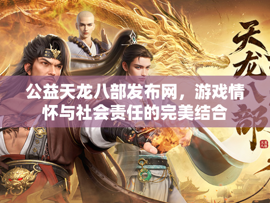 公益天龙八部发布网，游戏情怀与社会责任的完美结合  第3张