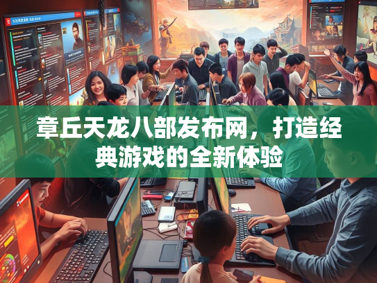 章丘天龙八部发布网，打造经典游戏的全新体验  第3张