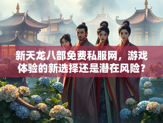 新天龙八部免费私服网，游戏体验的新选择还是潜在风险？