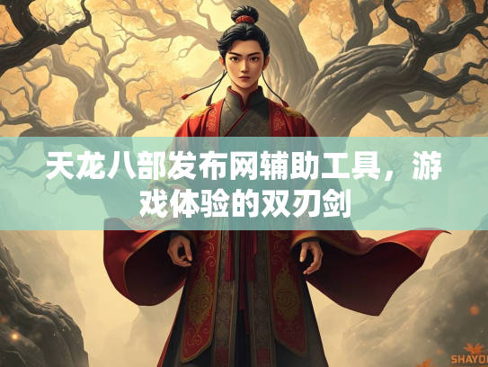天龙八部发布网辅助工具，游戏体验的双刃剑