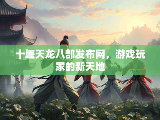 十堰天龙八部发布网，游戏玩家的新天地