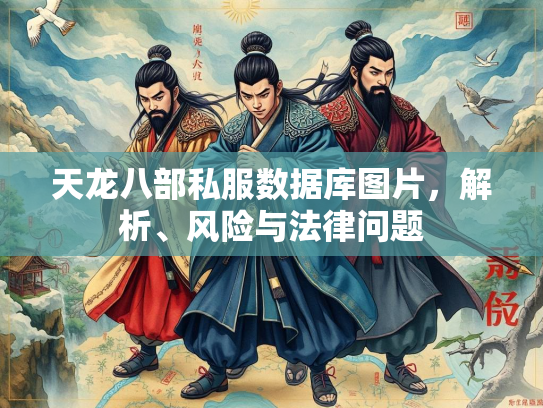 天龙八部私服数据库图片，解析、风险与法律问题