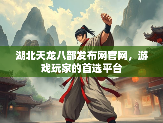 湖北天龙八部发布网官网，游戏玩家的首选平台  第3张