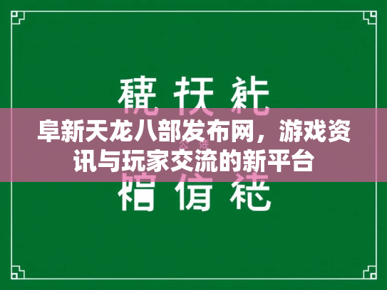 阜新天龙八部发布网，游戏资讯与玩家交流的新平台  第1张