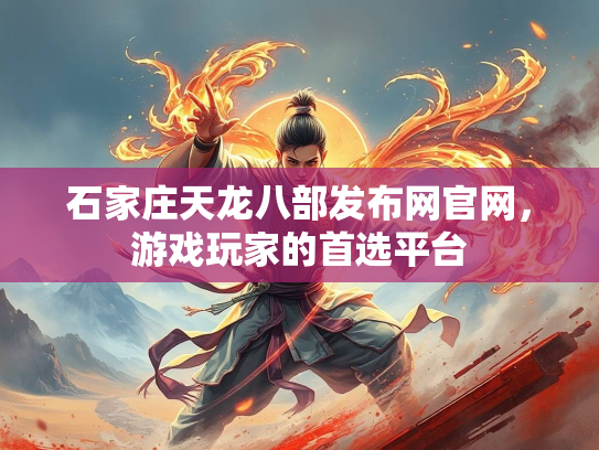 石家庄天龙八部发布网官网，游戏玩家的首选平台  第1张