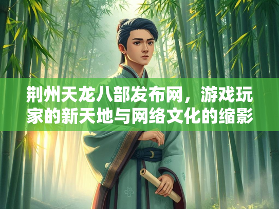 荆州天龙八部发布网，游戏玩家的新天地与网络文化的缩影  第1张