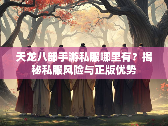 天龙八部手游私服哪里有？揭秘私服风险与正版优势