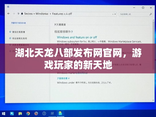 湖北天龙八部发布网官网，游戏玩家的新天地