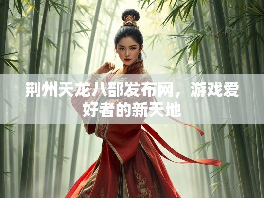 荆州天龙八部发布网，游戏爱好者的新天地