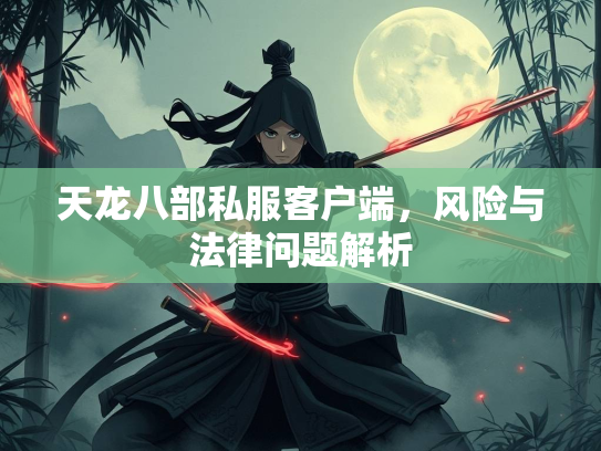 天龙八部私服客户端，风险与法律问题解析