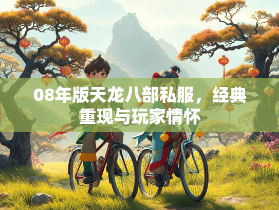 08年版天龙八部私服，经典重现与玩家情怀  第5张