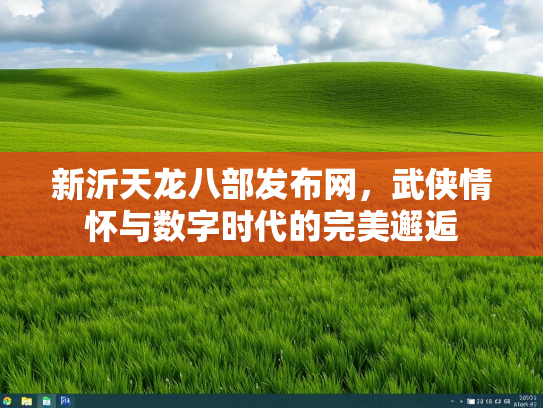 新沂天龙八部发布网，武侠情怀与数字时代的完美邂逅
