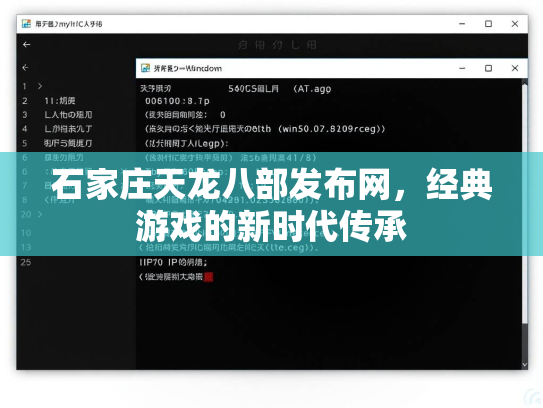石家庄天龙八部发布网，经典游戏的新时代传承  第2张