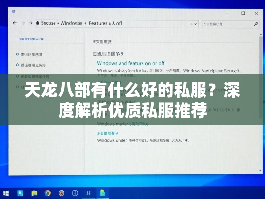 天龙八部有什么好的私服？深度解析优质私服推荐
