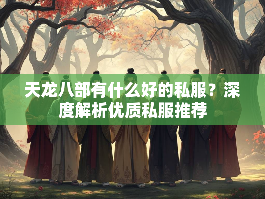 天龙八部有什么好的私服？深度解析优质私服推荐