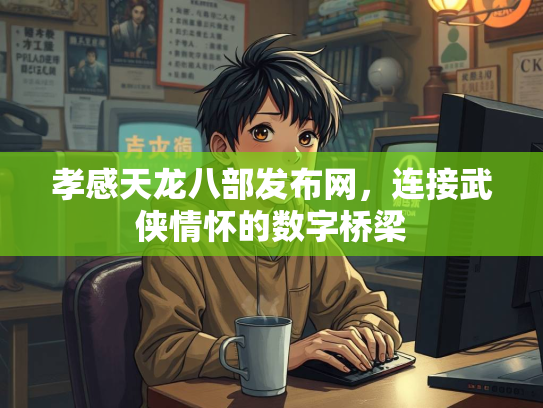 孝感天龙八部发布网，连接武侠情怀的数字桥梁  第1张