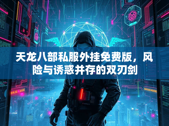 天龙八部私服外挂免费版，风险与诱惑并存的双刃剑