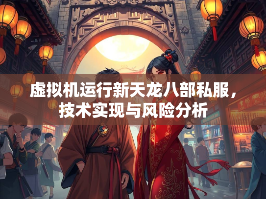 虚拟机运行新天龙八部私服，技术实现与风险分析