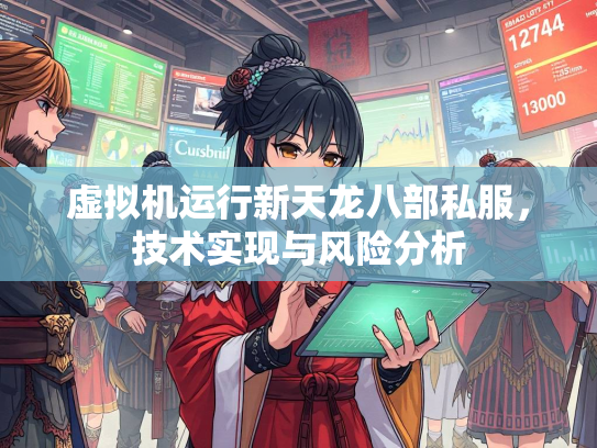 虚拟机运行新天龙八部私服，技术实现与风险分析